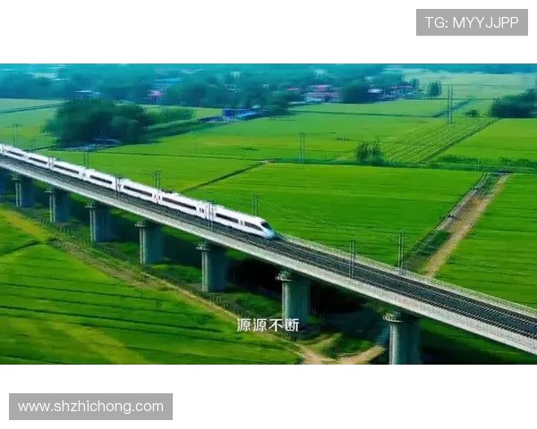 九台农商银行打造普惠金融新格局助力乡村振兴与地方经济高质量发展