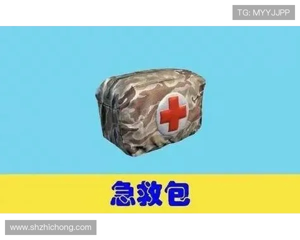 和平精英战术解析：EDG团队包夹策略的深度剖析与应用