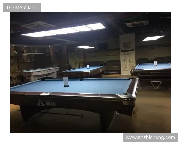 从技巧到礼仪全面解析台球运动魅力与科学化进阶训练指南全面手册